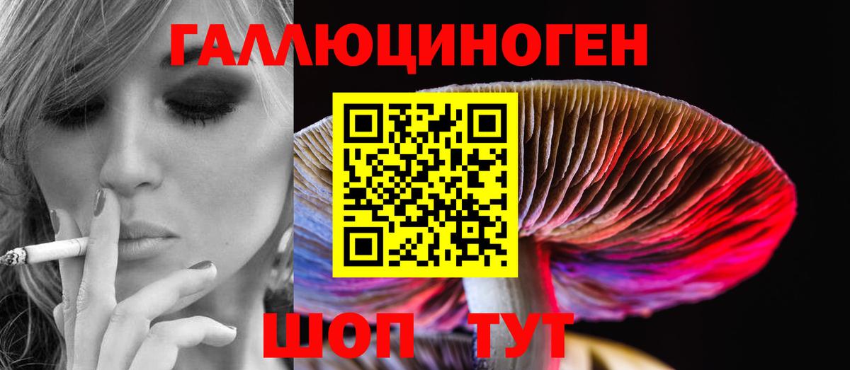 Галлюциногенные грибы мицелий  Вход с VPN  Галлюциногенные грибы мицелий  купить наркотики сайты  Дедовск 